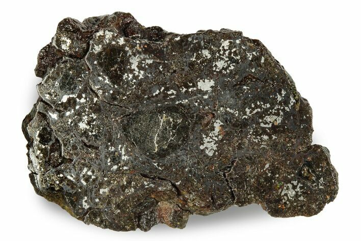 Polished Vaca Muerta Mesosiderite Meteorite ( g) - Chile #246995